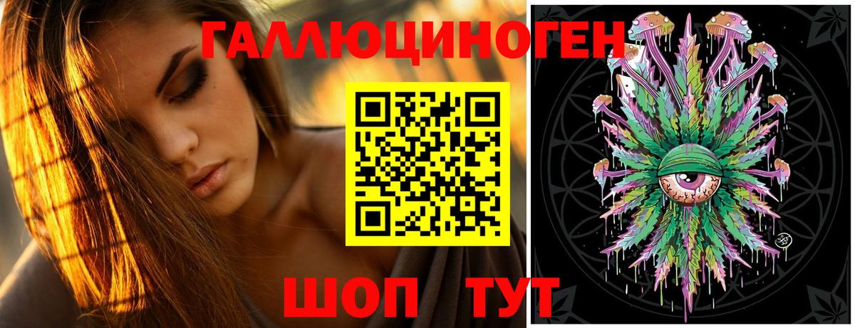 Псилоцибиновые грибы Psilocybe  Вход с VPN  Псков 