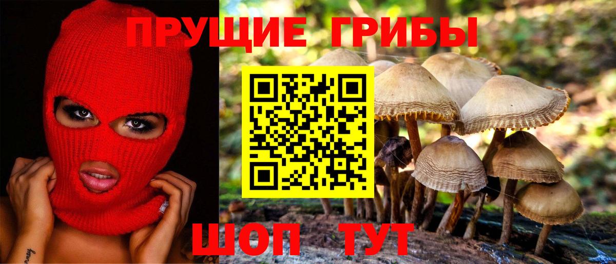 Псилоцибиновые грибы MAGIC MUSHROOMS Псков